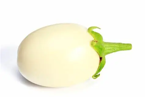 Garden Egg